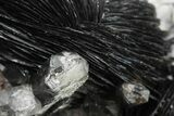 Quartz Crystals On Sparkling Bladed Hematite - Lechang Mine #226004-5